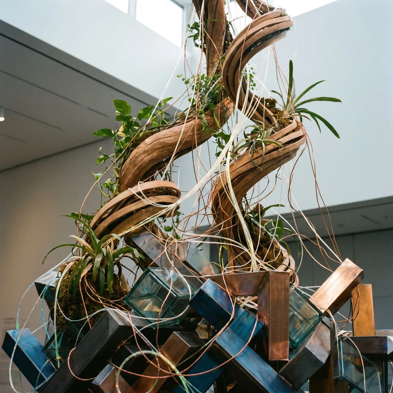 Growth requires a strong structural foundation.